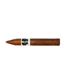 Asylum Schizo Torpedo (20)