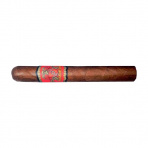 Don Duarte Classico Golden Toro (24)