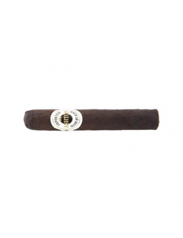 Ashton Aged Maduro No. 10 Robusto (25)