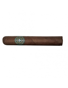 Villa Vieja Clásico Robusto (20)