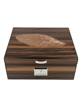 Humidor Leaf 25D